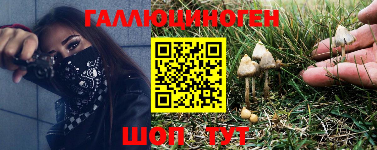 Галлюциногенные грибы мицелий Бор