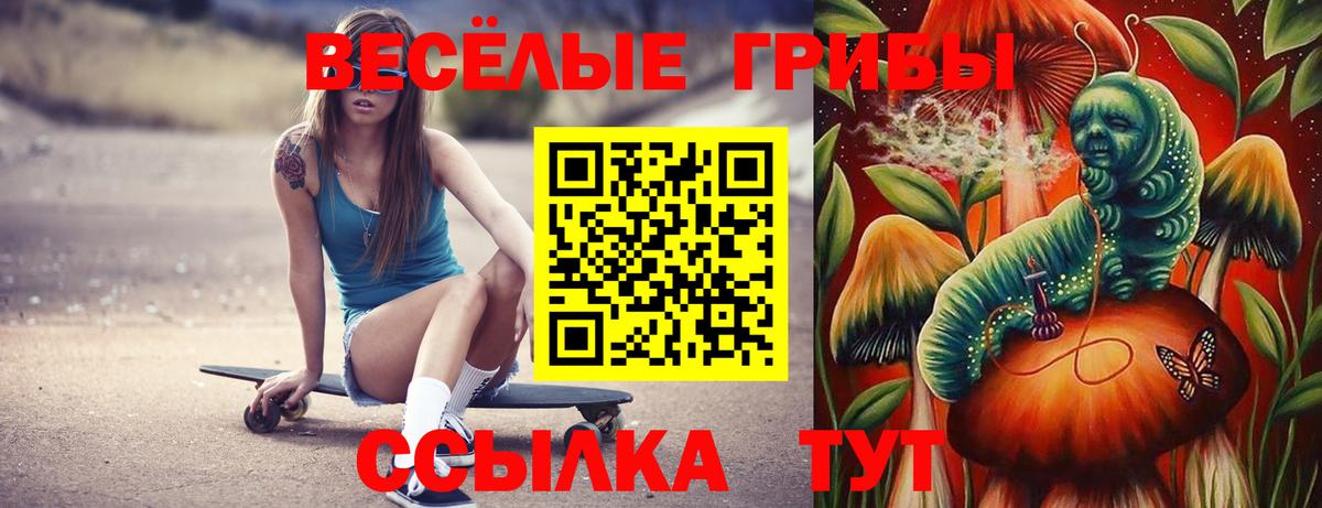 Галлюциногенные грибы Magic Shrooms  Галлюциногенные грибы прущие грибы  Бор  Вход с VPN 